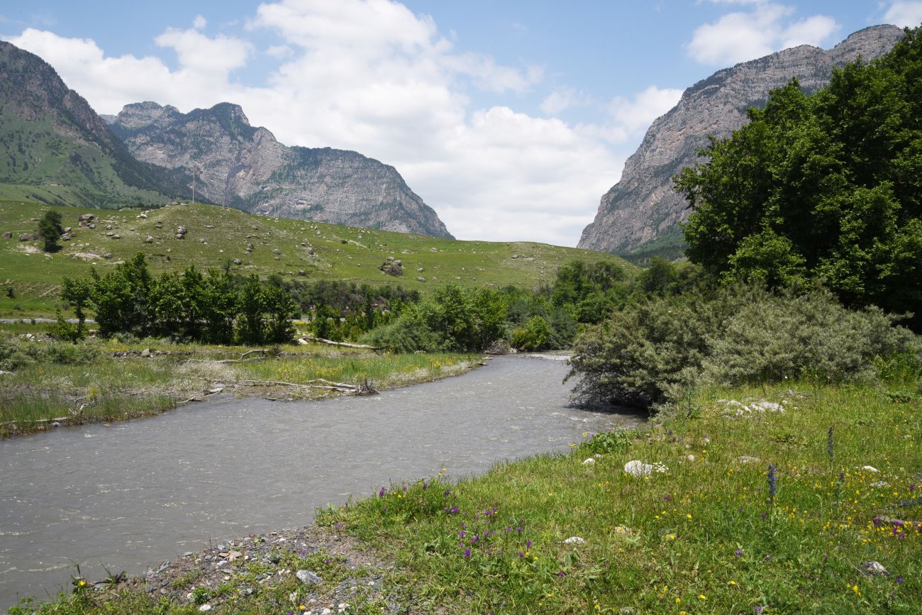 Окрестности урочища Исмаил-Ков, image of landscape/habitat.