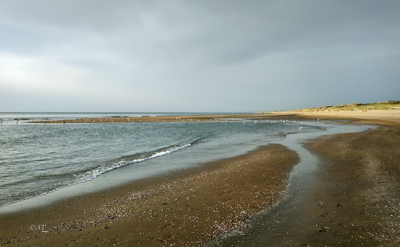 Схевенинген, image of landscape/habitat.