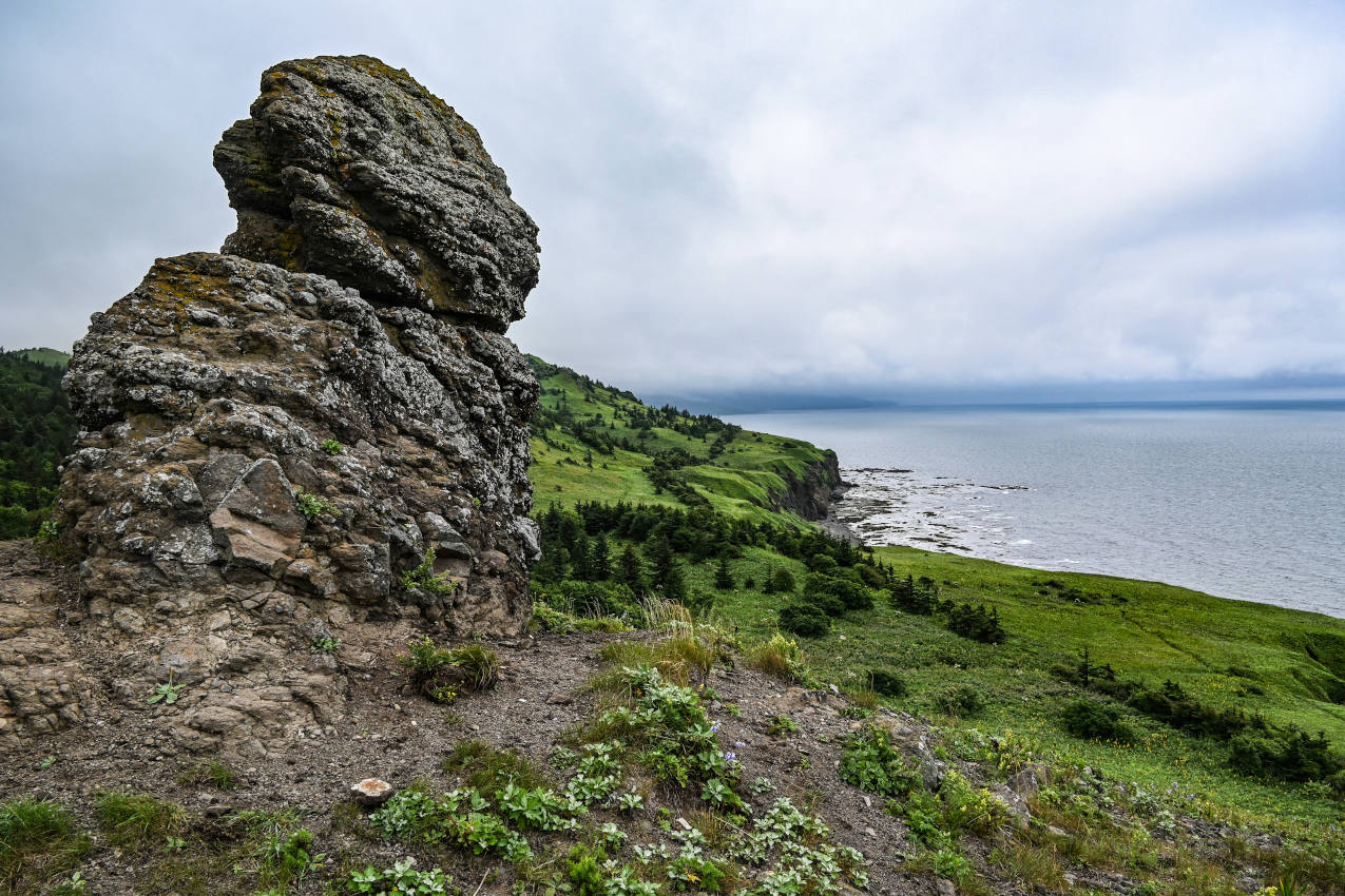 Хребет Жданко, image of landscape/habitat.