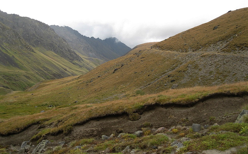 Ущелье реки Кызылкол, image of landscape/habitat.