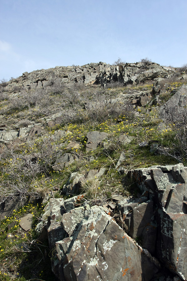 Куюк, image of landscape/habitat.