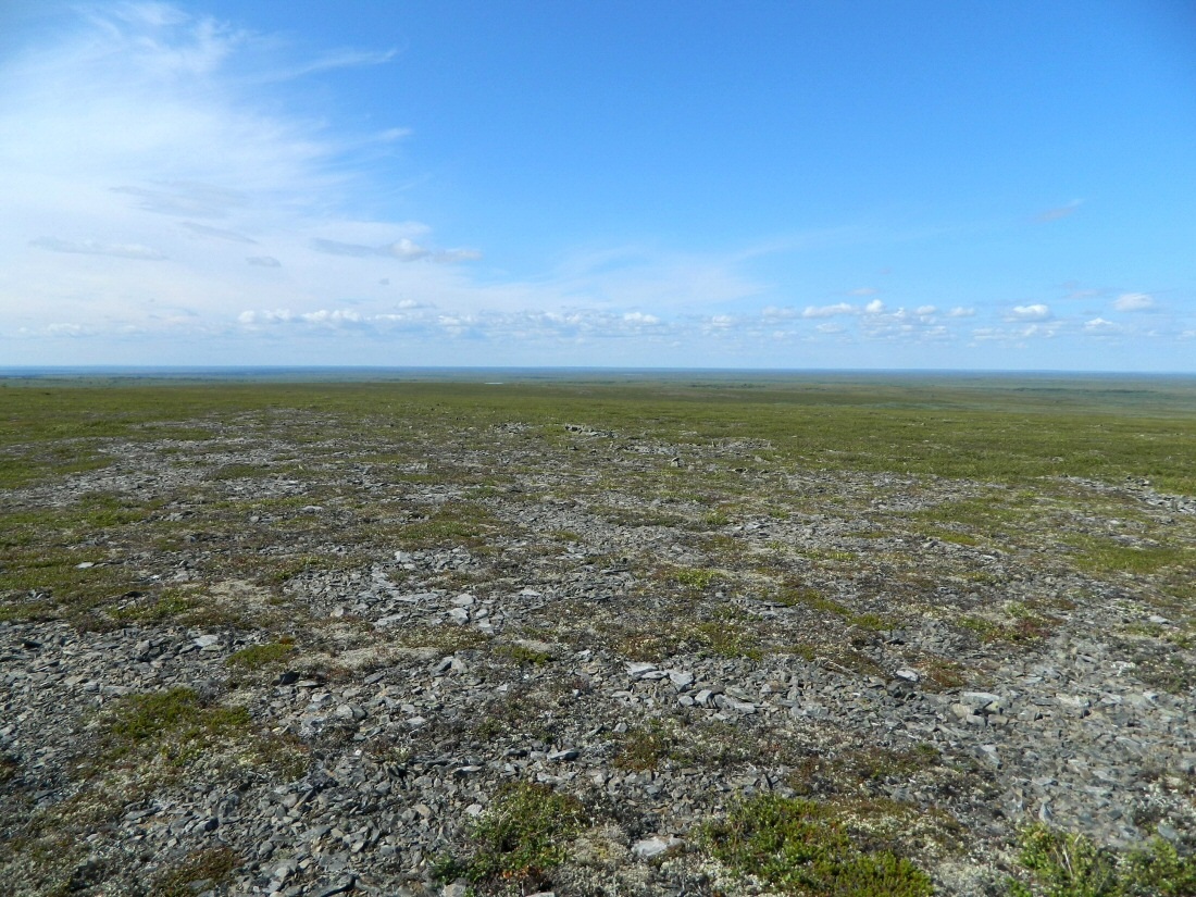 Левый Кечпель, image of landscape/habitat.