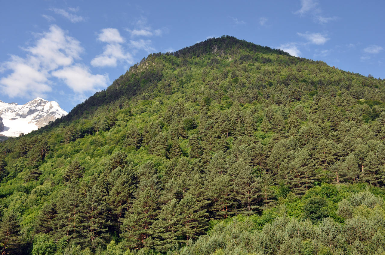 Гора Кубус, image of landscape/habitat.