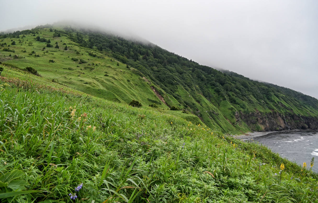 Хребет Жданко, image of landscape/habitat.