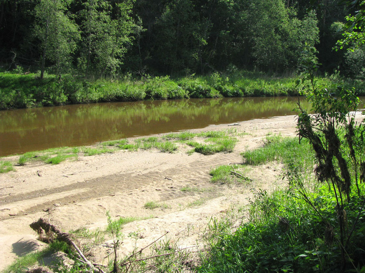 Бассейн Обноры, image of landscape/habitat.