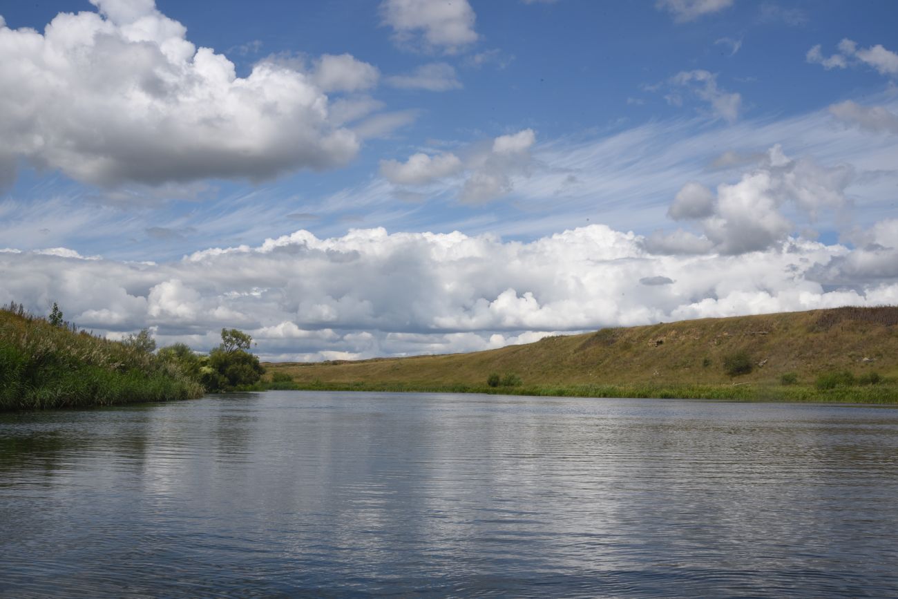 Урочище Бугровка, image of landscape/habitat.