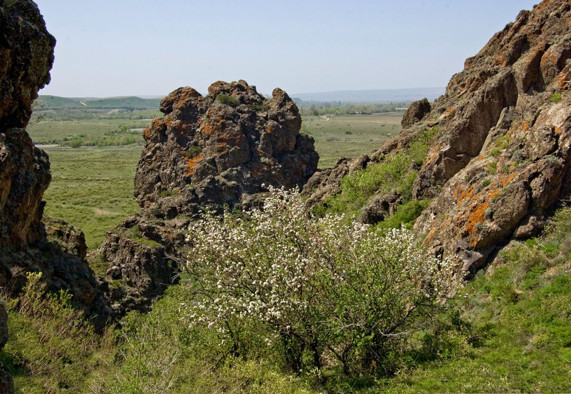 Лепсинский каньон, image of landscape/habitat.