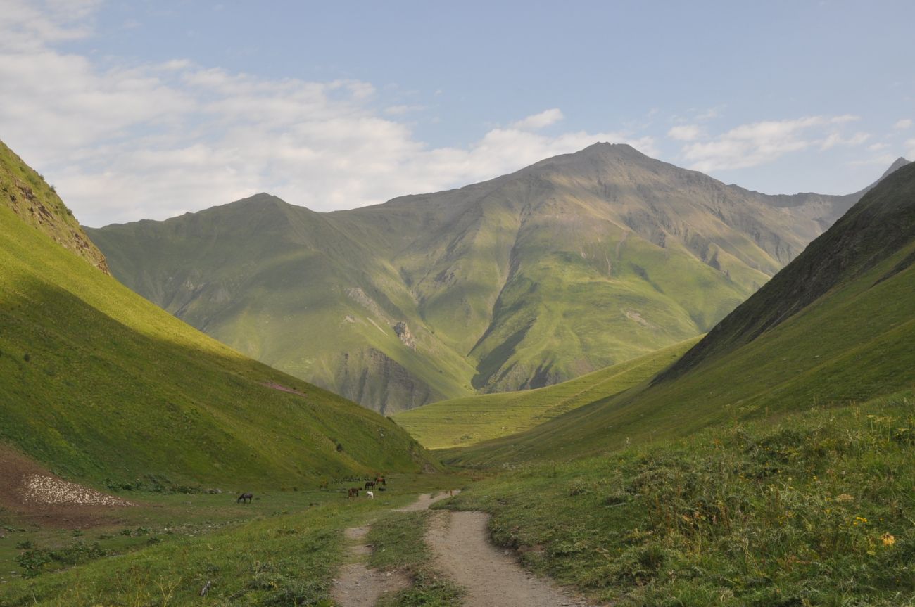 Долина ручья Чаухицхали, image of landscape/habitat.