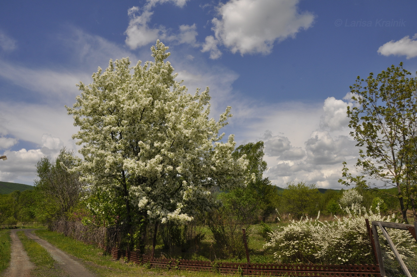 Новонежино, image of landscape/habitat.