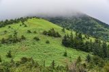 Хребет Жданко, image of landscape/habitat.