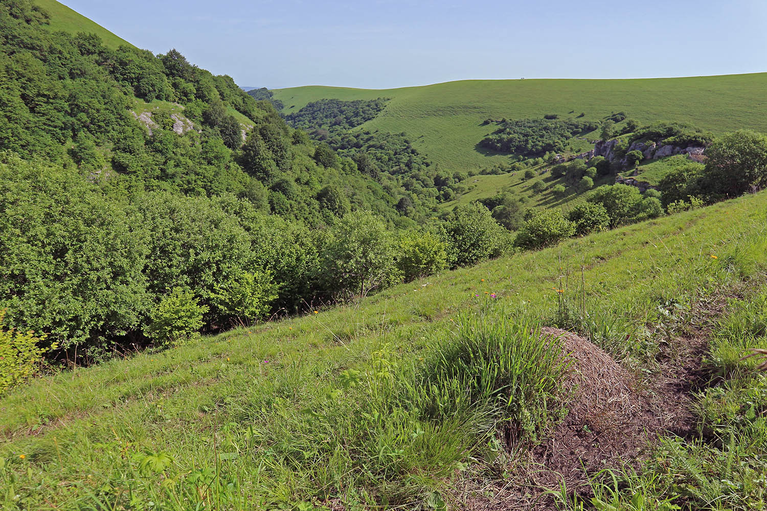 Балка Клевцова, image of landscape/habitat.