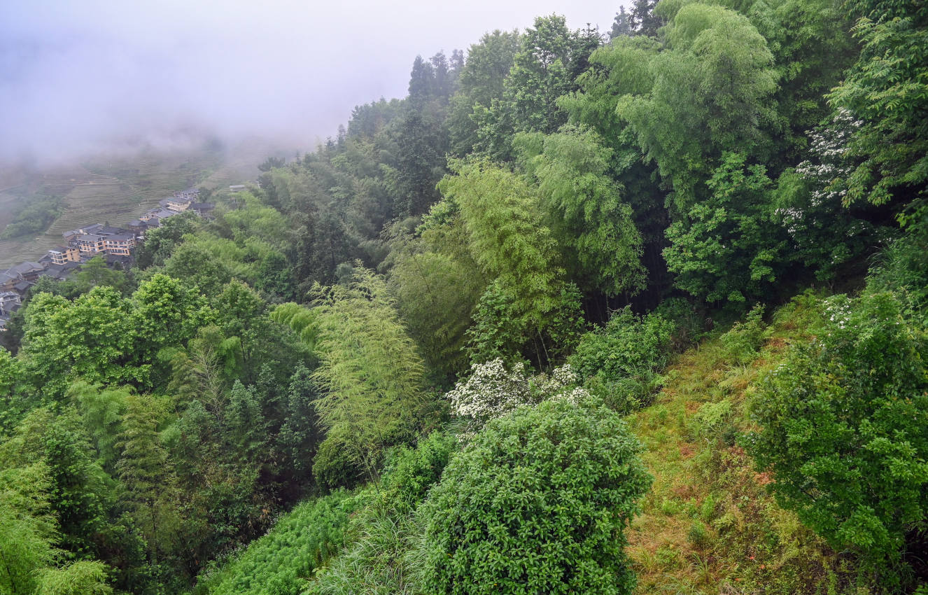 Рисовые террасы Лунцзи, image of landscape/habitat.