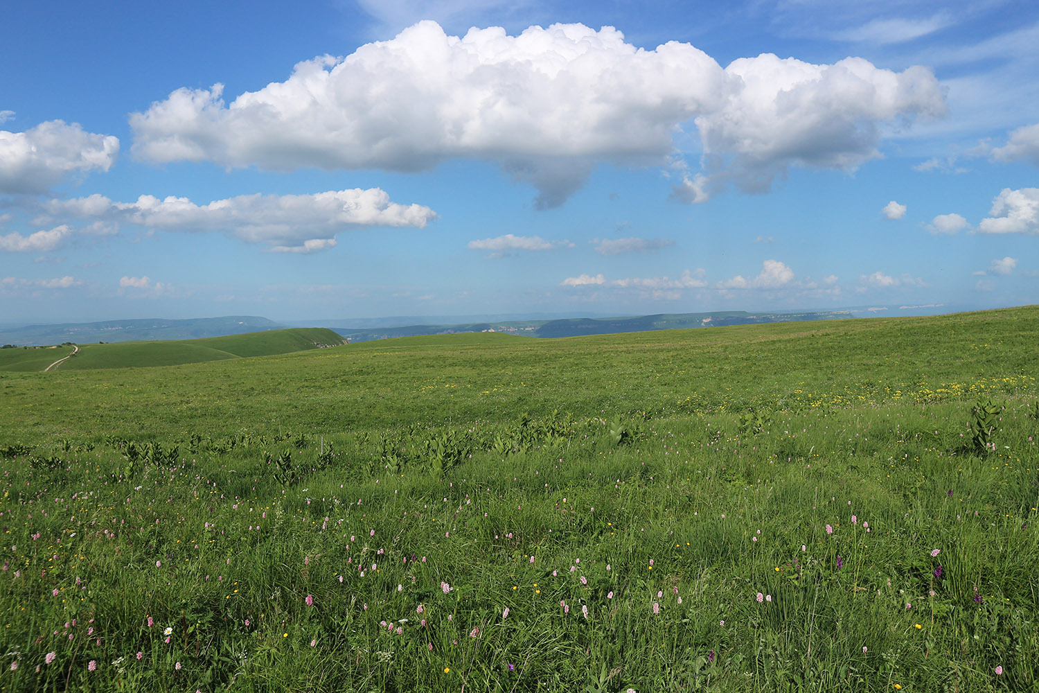 Джисса, image of landscape/habitat.