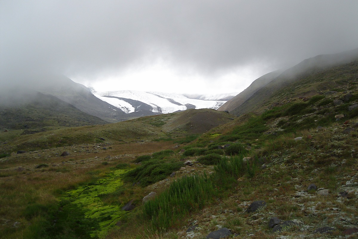 Ущелье реки Кызылкол, image of landscape/habitat.