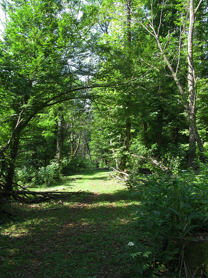 Афонская гора, image of landscape/habitat.