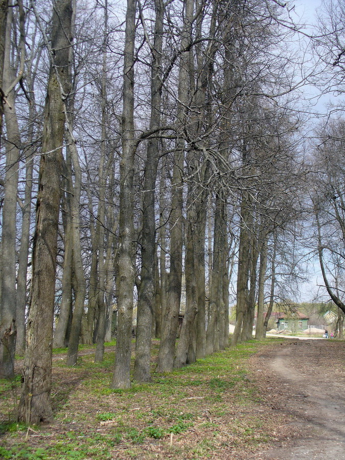 Село Великое и окрестности, image of landscape/habitat.