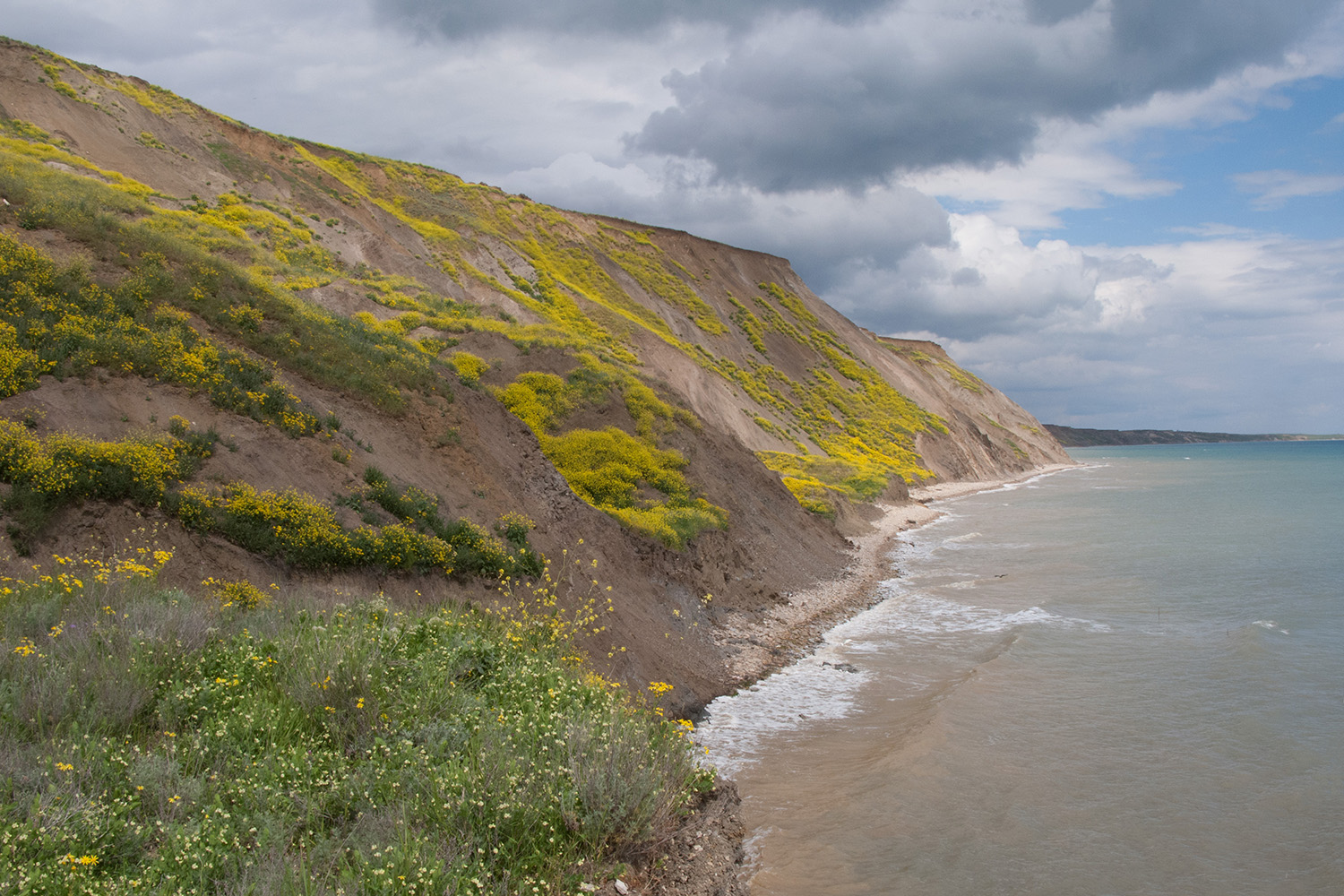 Железный Рог, image of landscape/habitat.