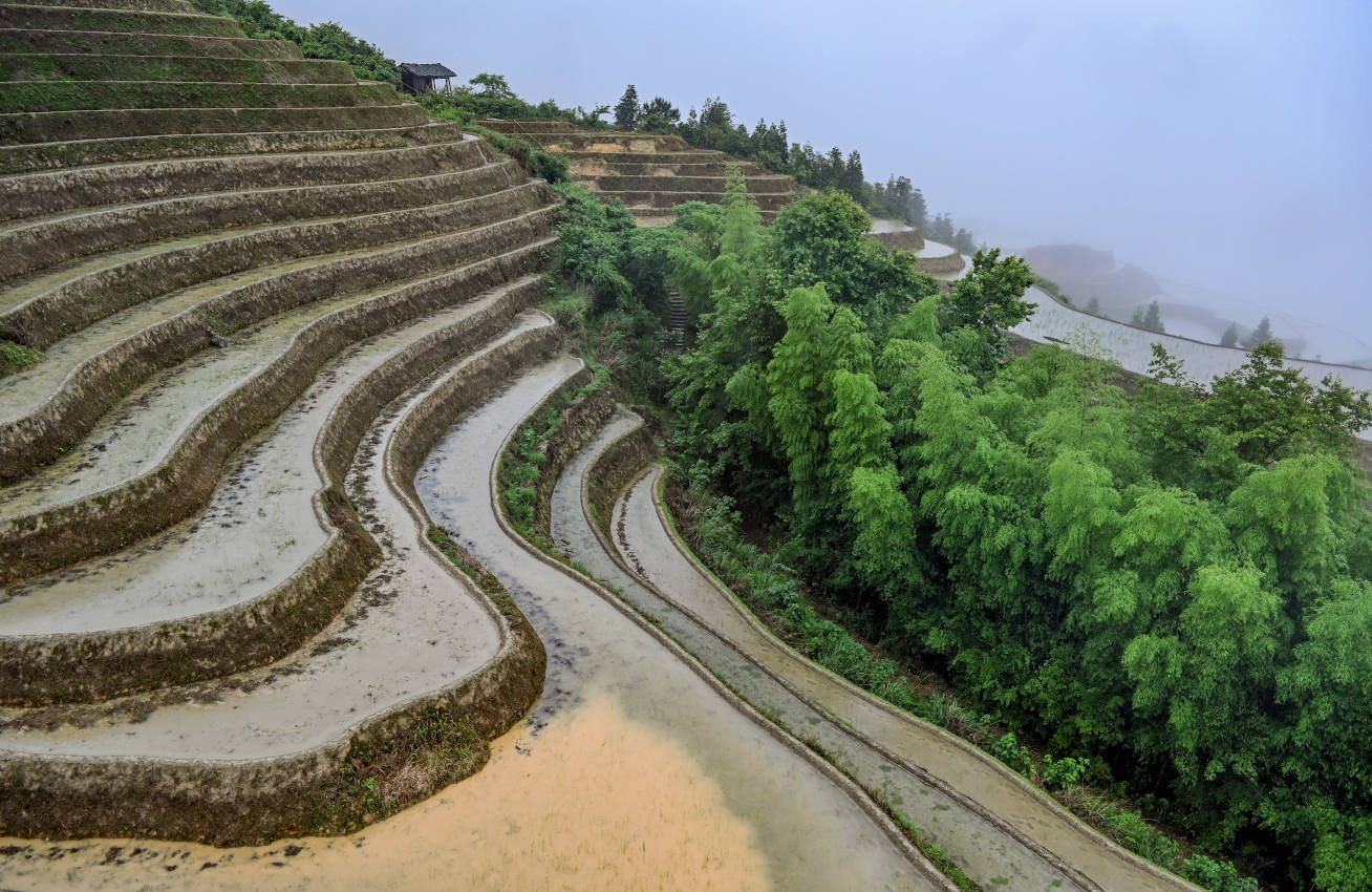 Рисовые террасы Лунцзи, image of landscape/habitat.