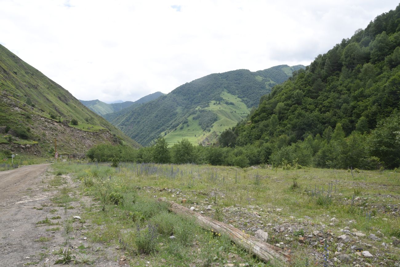 Нижнее течение Цесиахк, image of landscape/habitat.