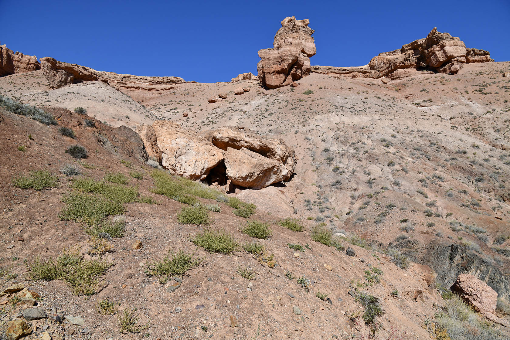 Чарын, image of landscape/habitat.