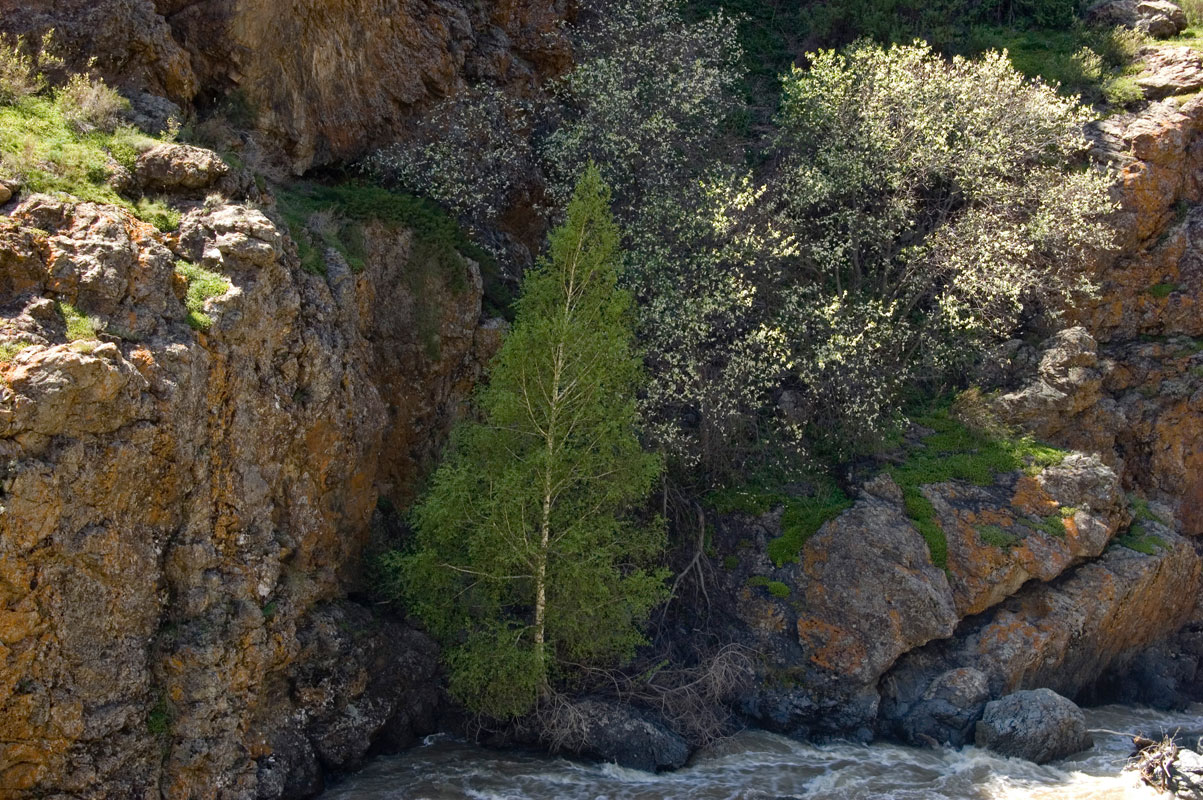 Лепсинский каньон, image of landscape/habitat.