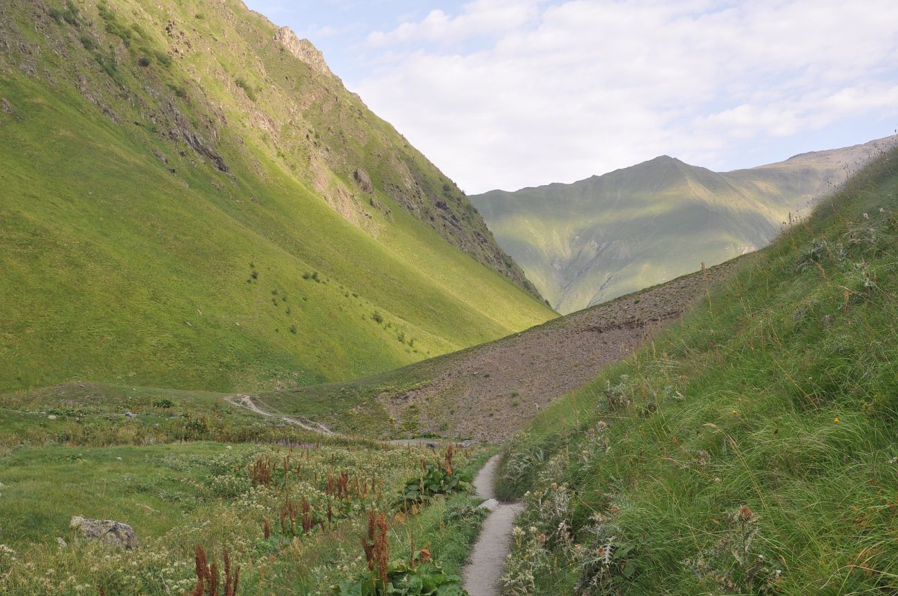 Долина ручья Чаухицхали, image of landscape/habitat.