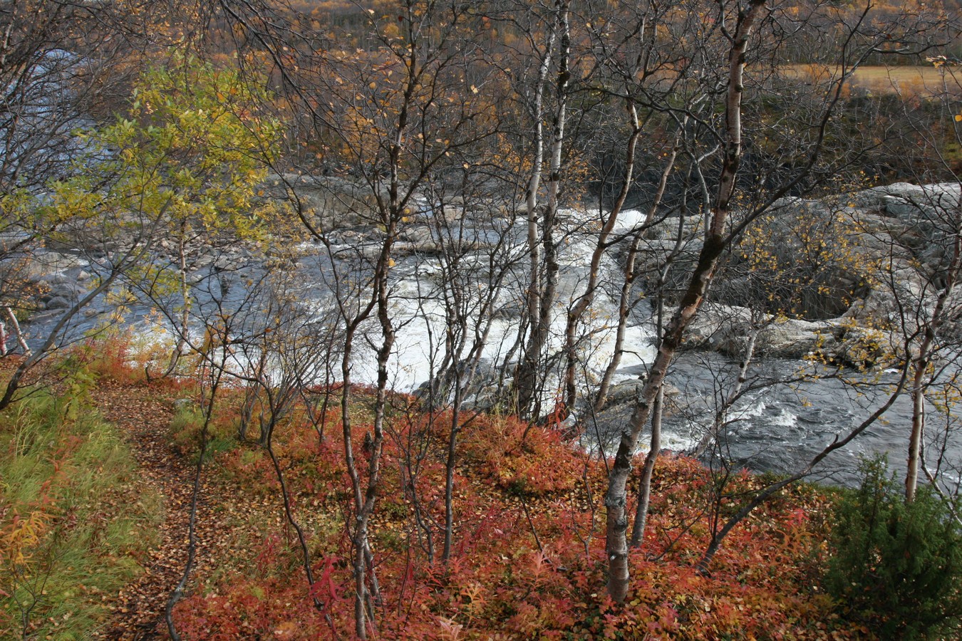 Мельничные водопады, image of landscape/habitat.