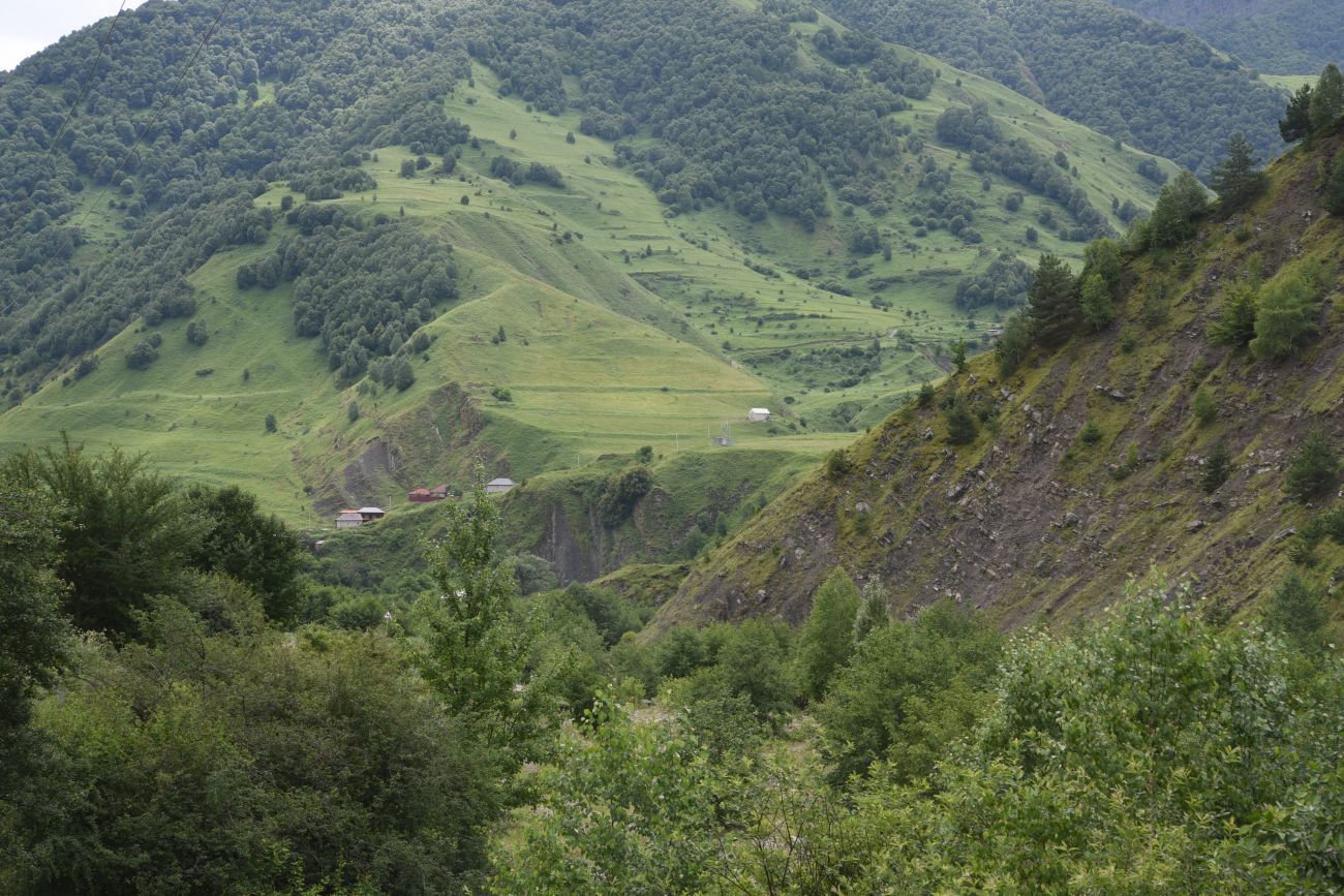 Химой, изображение ландшафта.