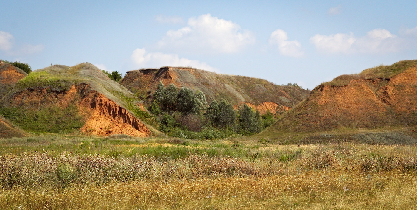 Окрестности села Красный Бор, image of landscape/habitat.