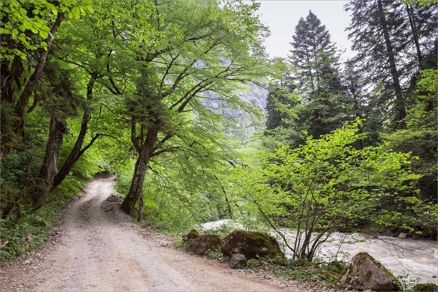 Долина реки Гега, image of landscape/habitat.