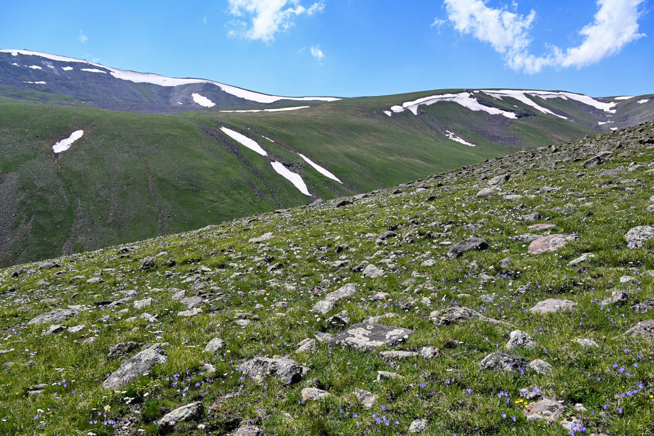 Озеро Кари, image of landscape/habitat.