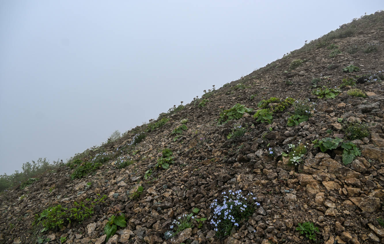 Хребет Жданко, изображение ландшафта.