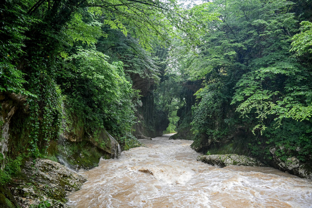 Мартвильский каньон, image of landscape/habitat.