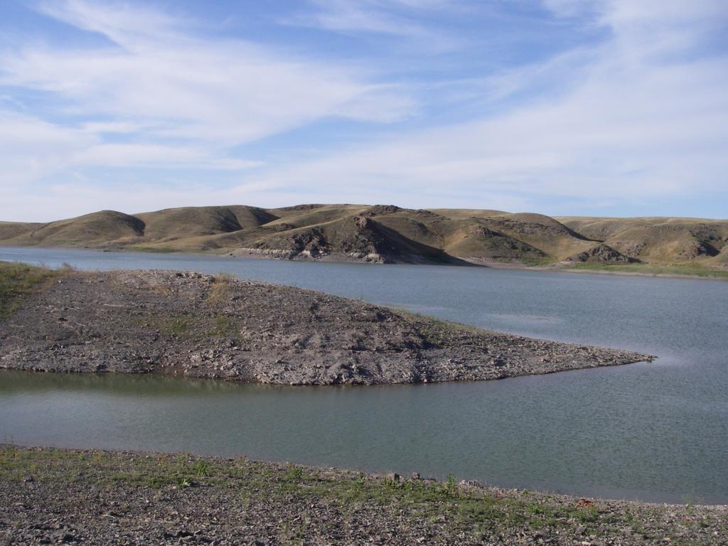 Куртинское водохранилище, image of landscape/habitat.