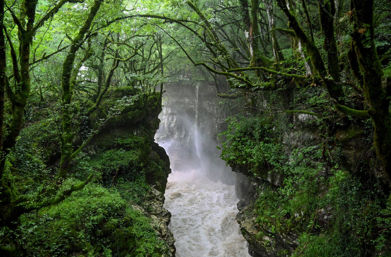 Мартвильский каньон, image of landscape/habitat.