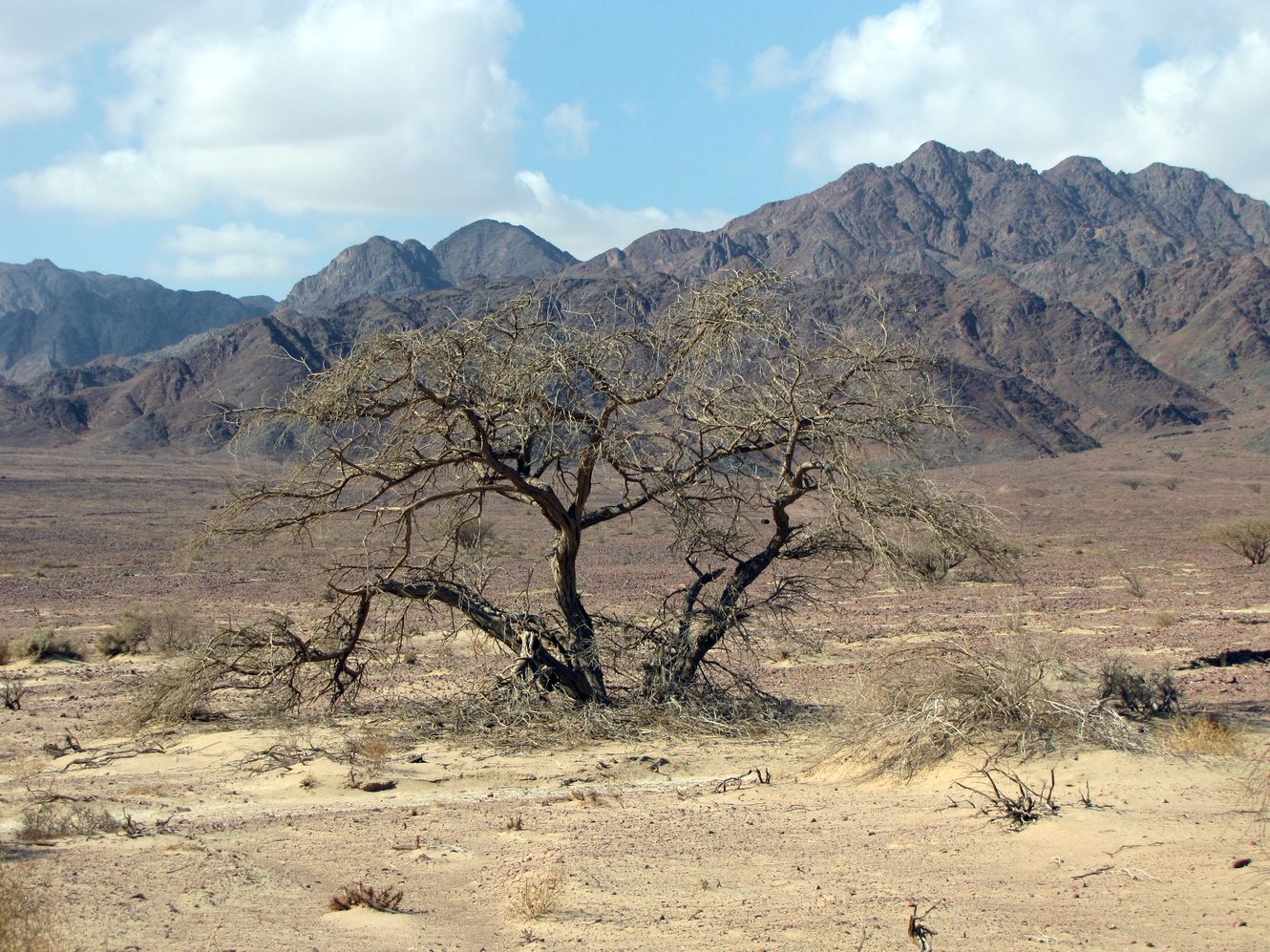 Эйлатские горы, image of landscape/habitat.