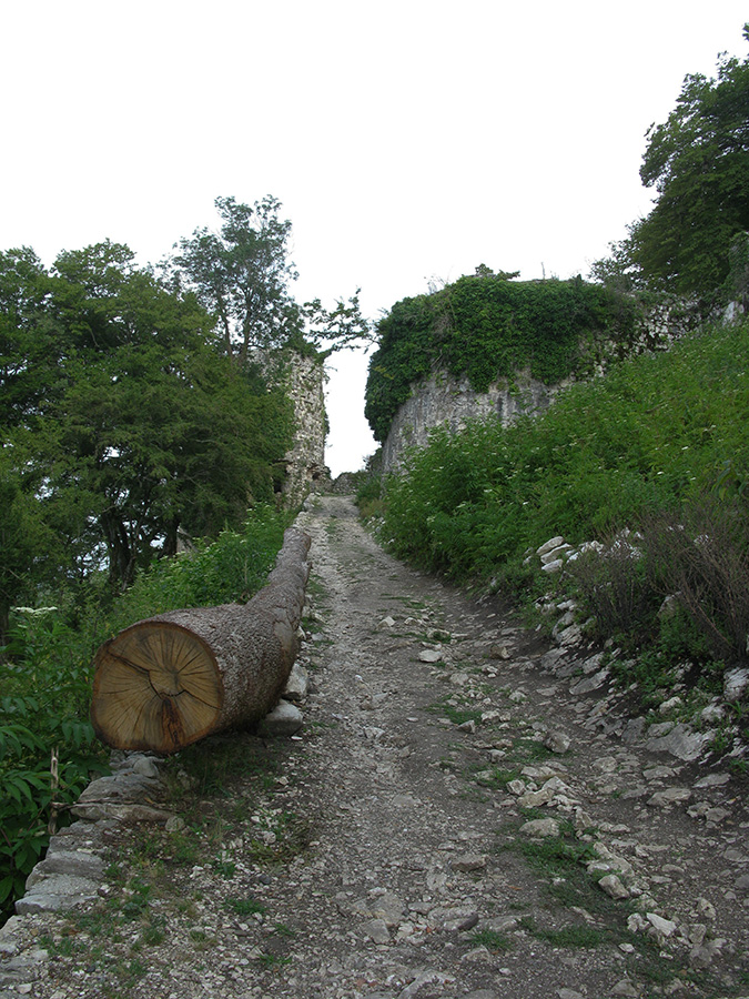 Иверская гора, image of landscape/habitat.