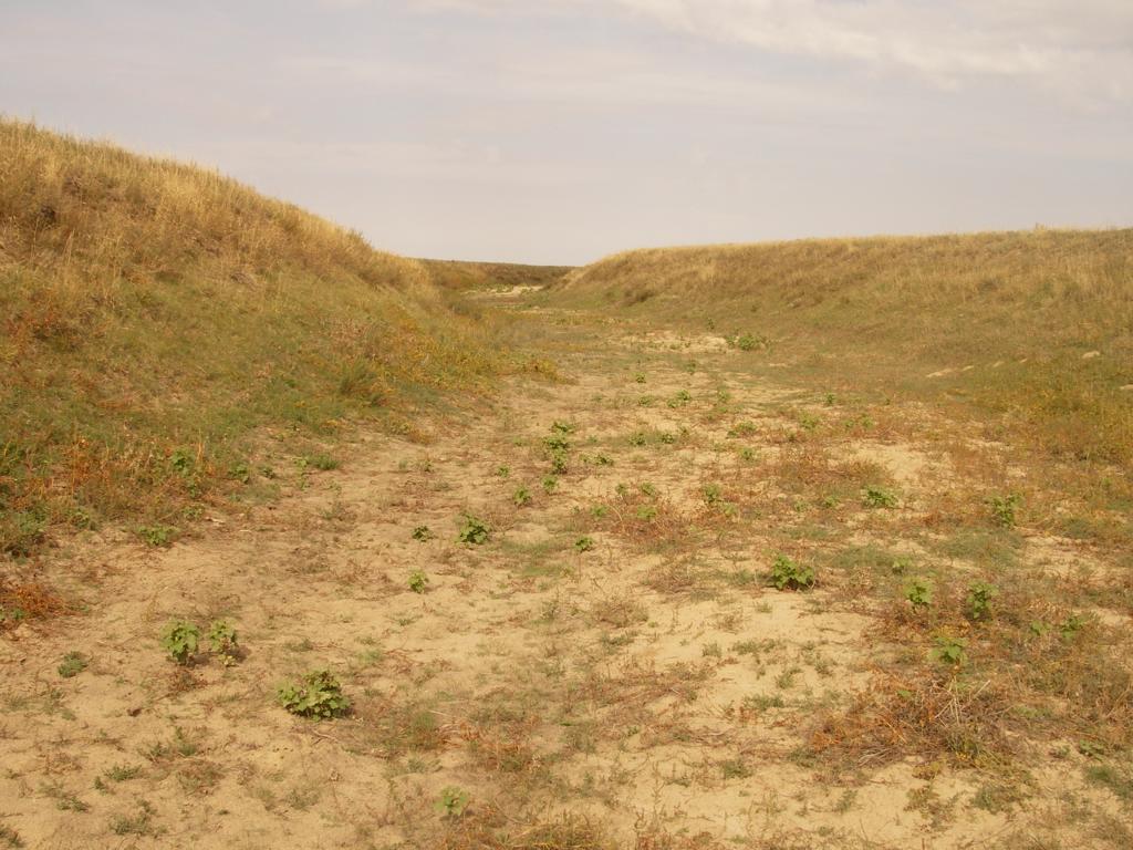 Зимовка Таскора, image of landscape/habitat.