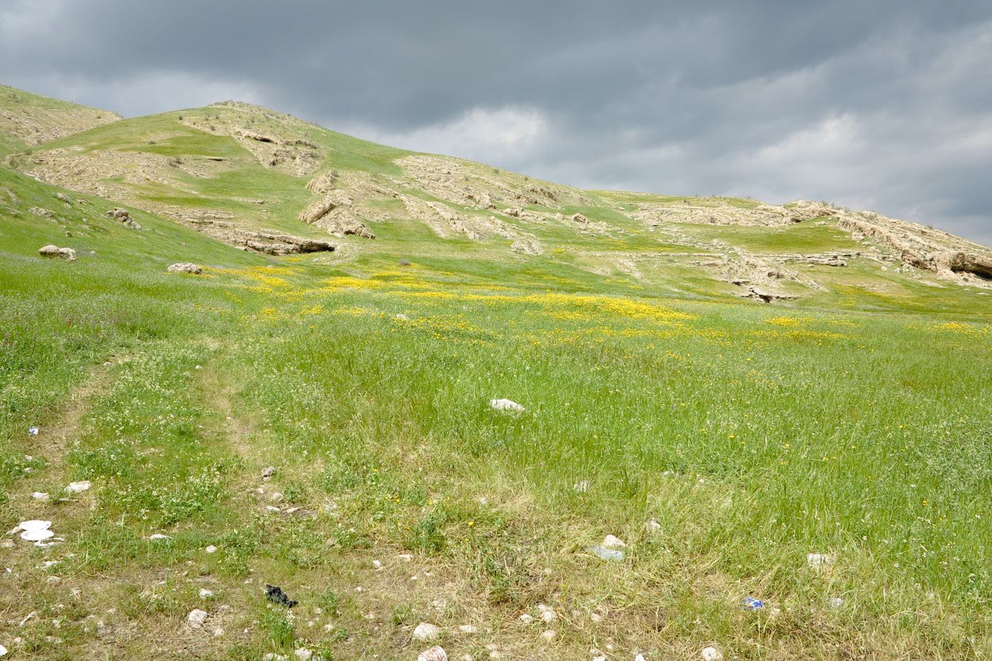 Самария, image of landscape/habitat.