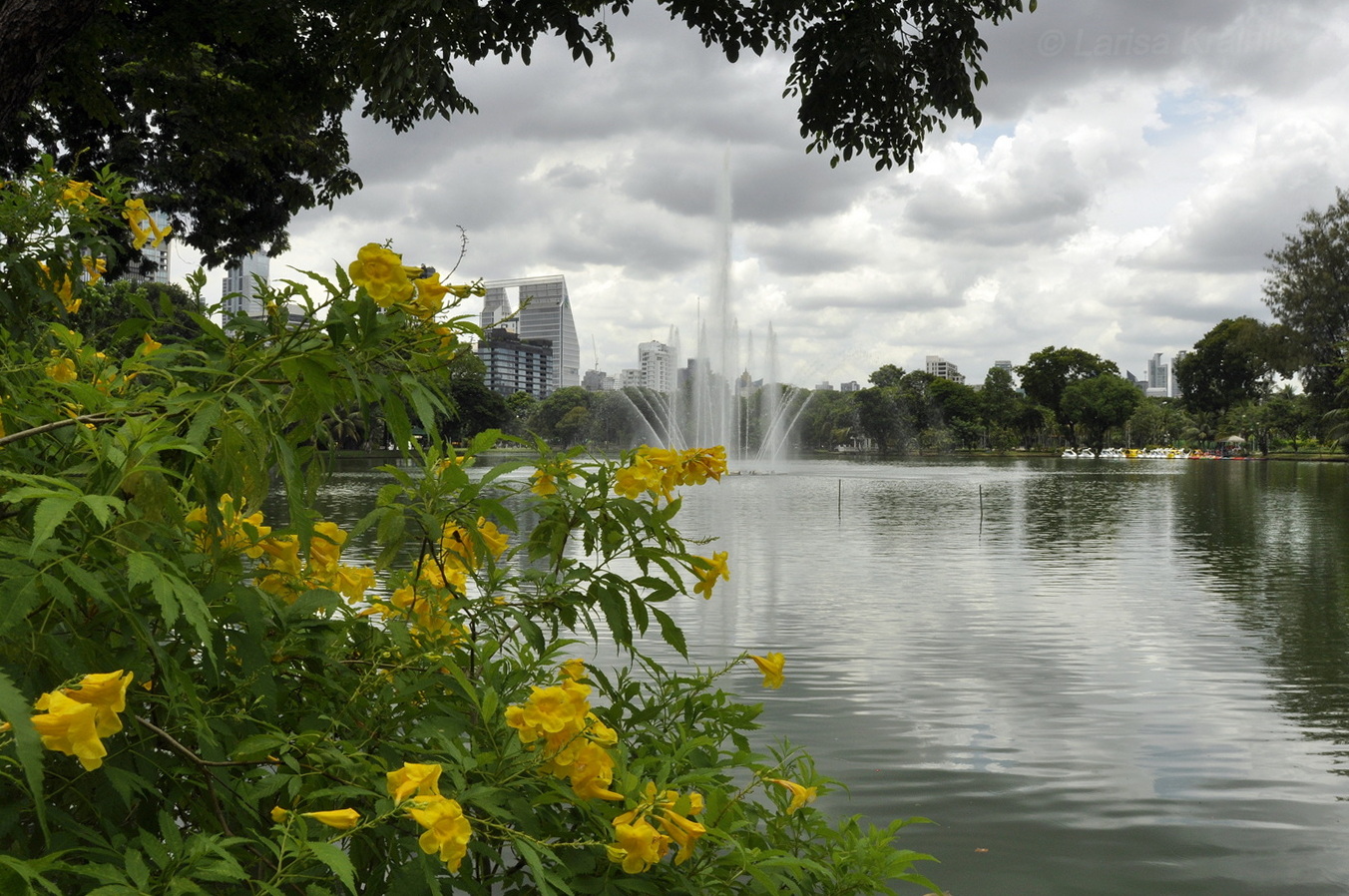 Парк Люмпини, image of landscape/habitat.