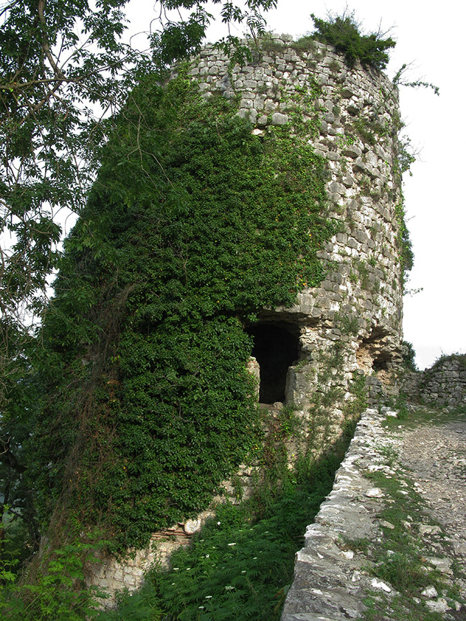 Иверская гора, image of landscape/habitat.