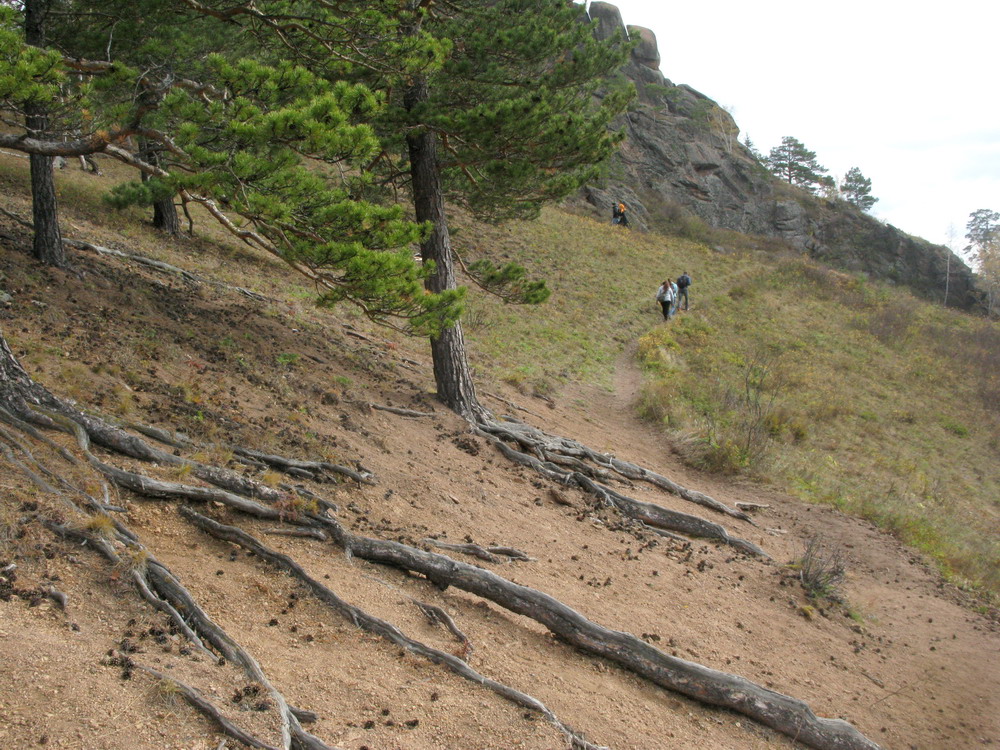 Такмак, image of landscape/habitat.