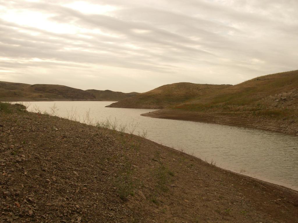 Куртинское водохранилище, image of landscape/habitat.