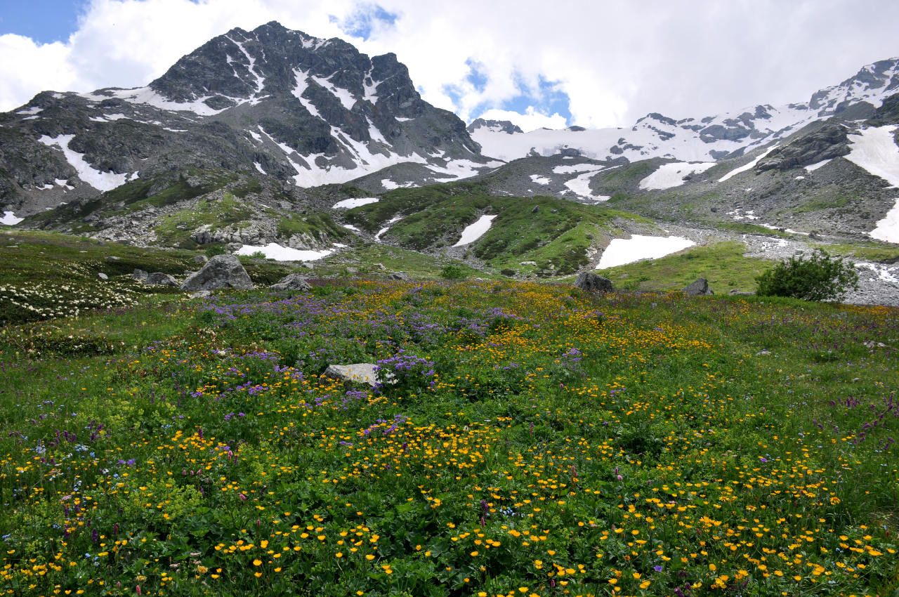 Долина реки Гебидон, image of landscape/habitat.