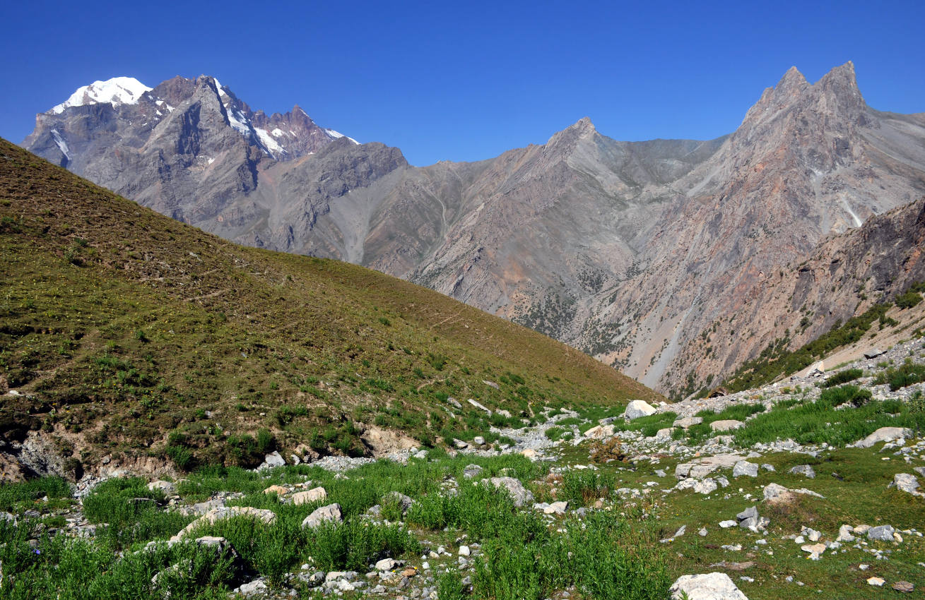 Перевал Талбас, image of landscape/habitat.