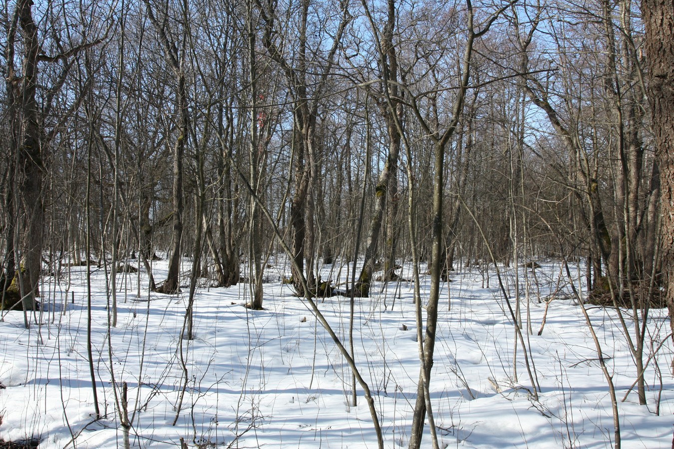 Каравалдай, image of landscape/habitat.