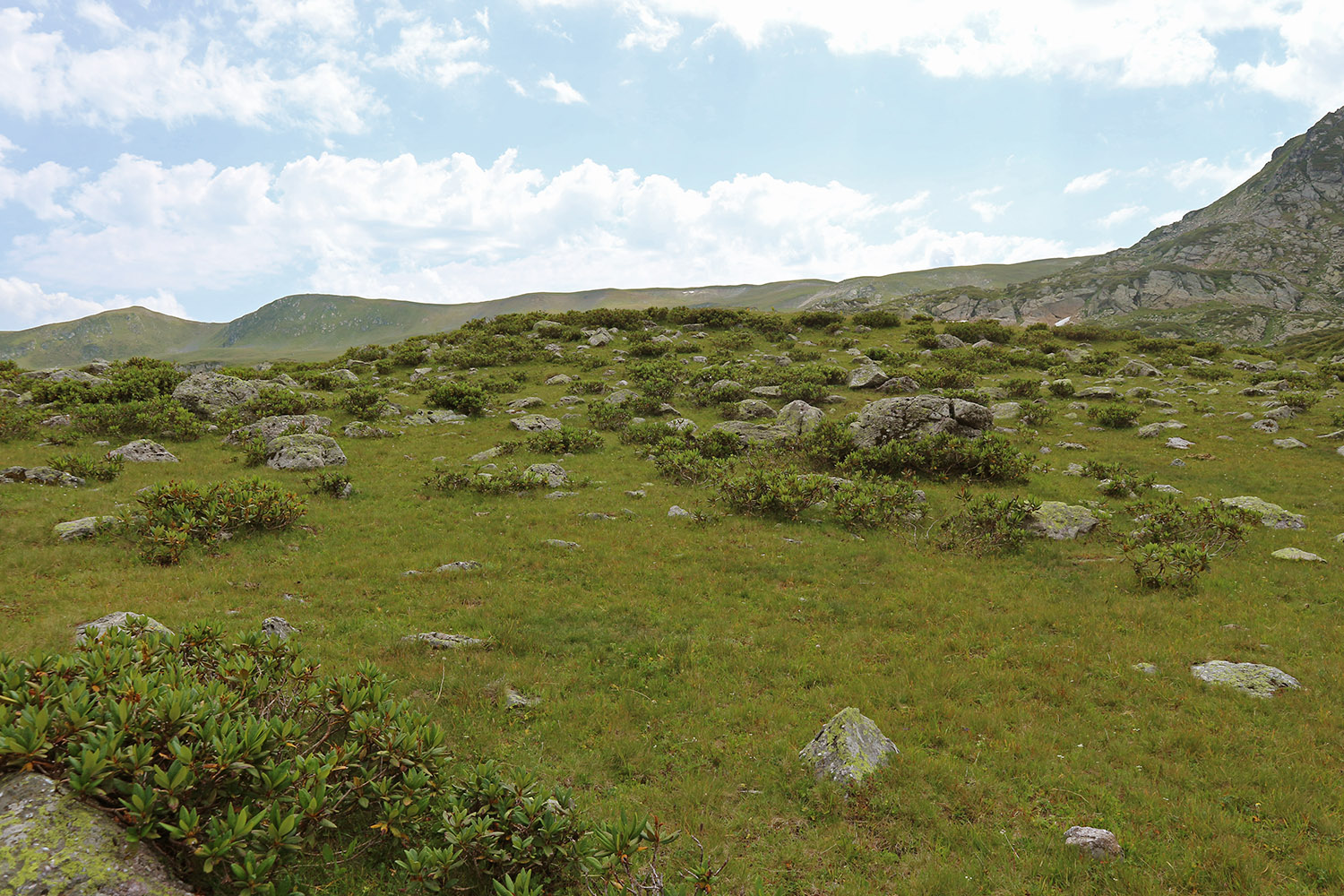 Ацгарские озёра, image of landscape/habitat.