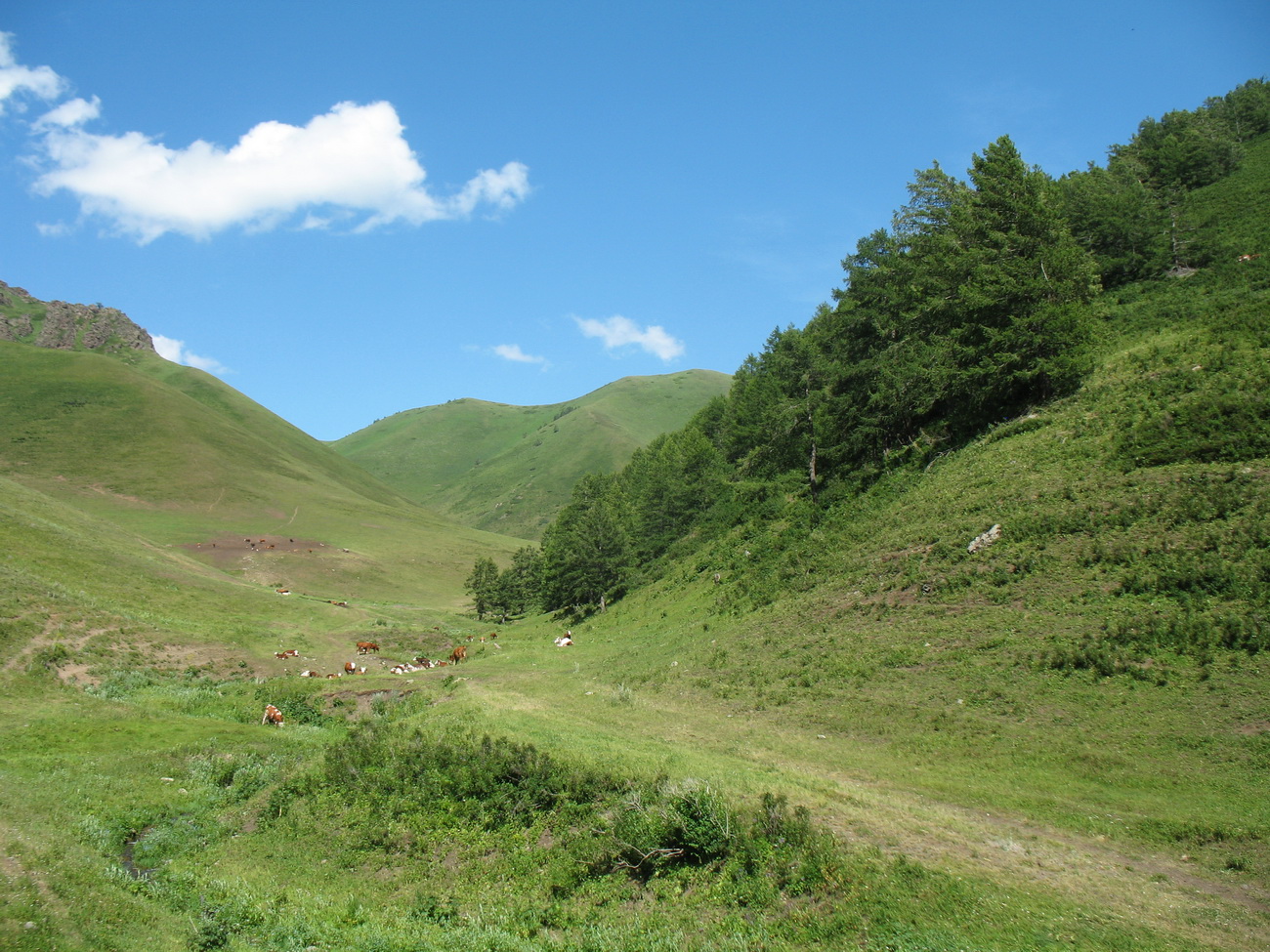 Урочище Тик-Булак, image of landscape/habitat.