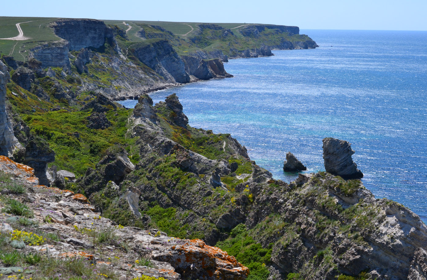 Джангуль, image of landscape/habitat.