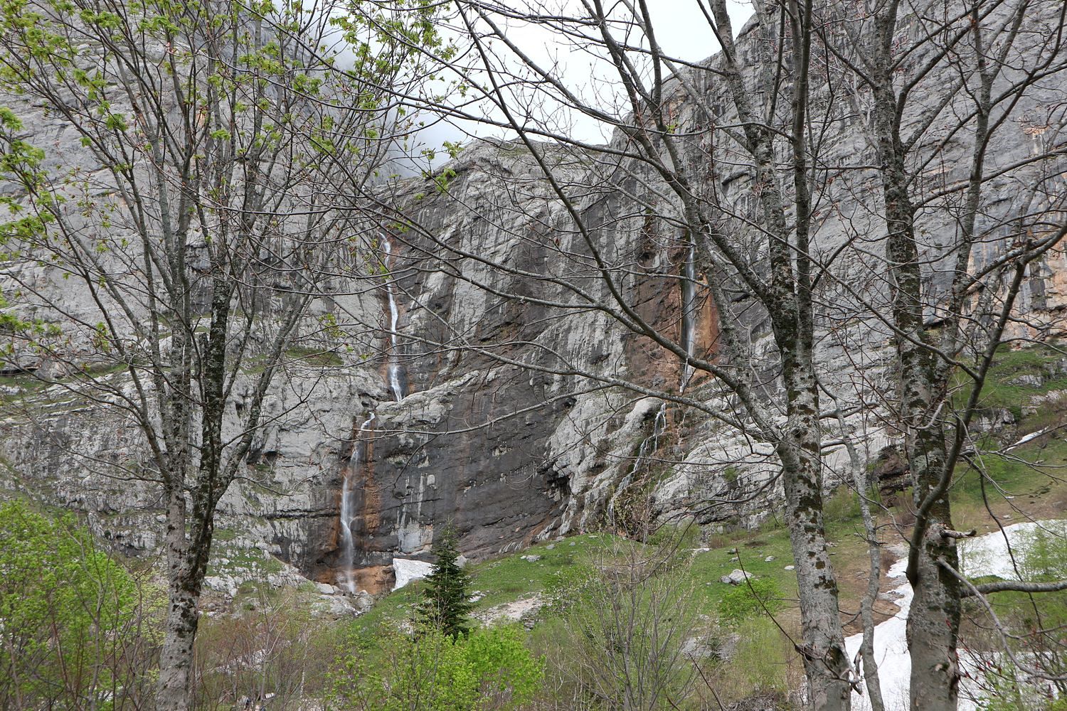 Верховья Пшехи, image of landscape/habitat.